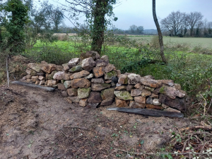 Hibernaculum créé lors d’un chantier bénévole participatif